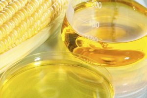 dầu bắp là gì