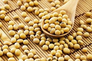 cách làm tương hột